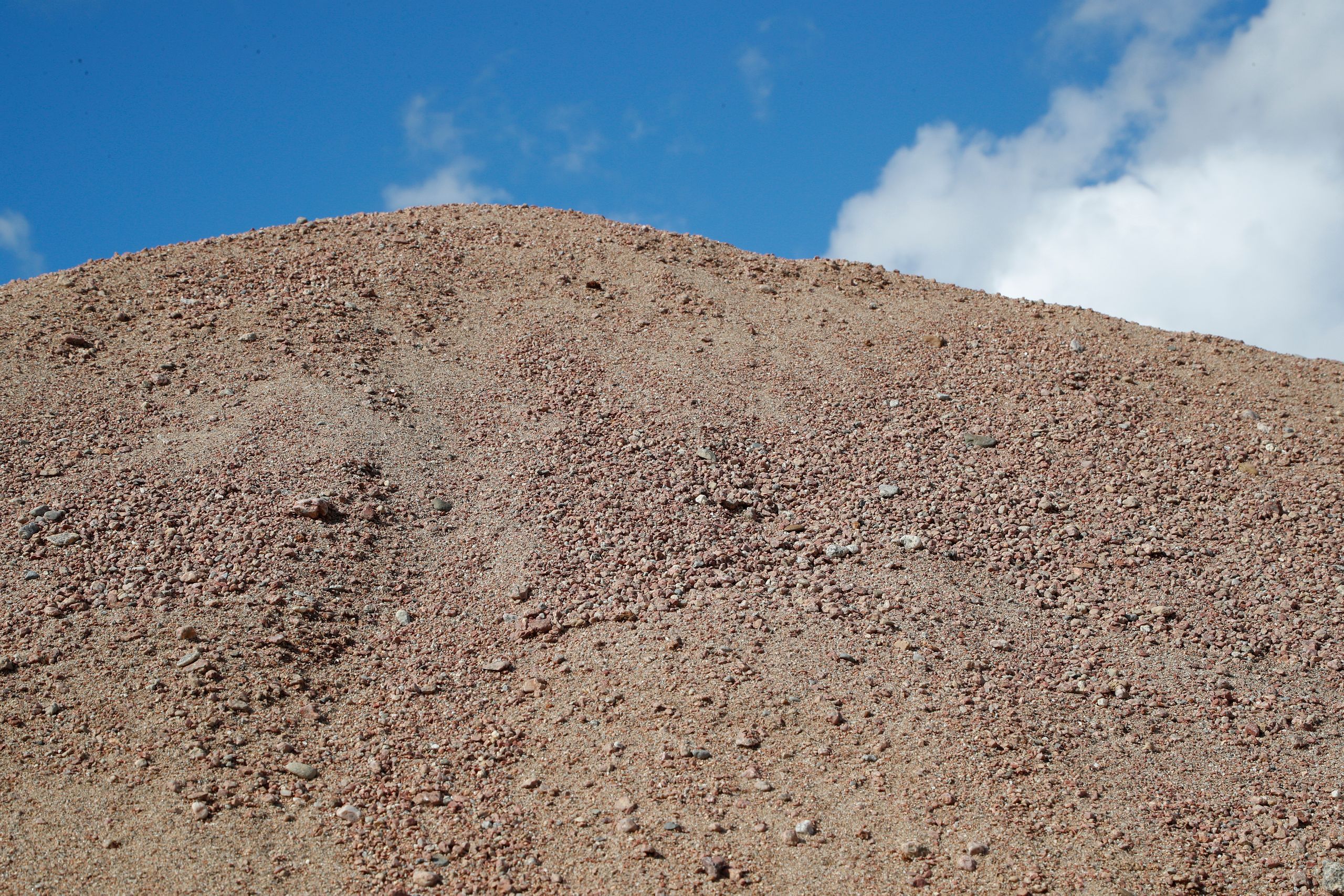 Kultatarvas soranjalostus