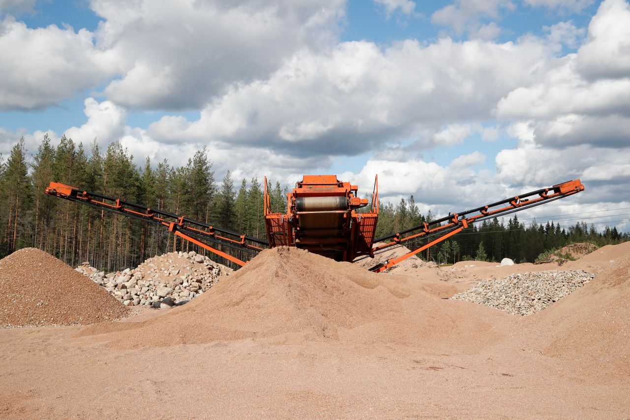 Kultatarvas soranjalostus